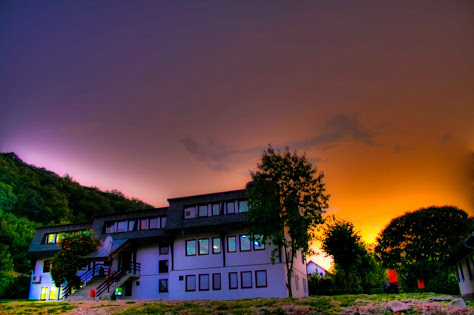 Летњи семинар историје у Петници