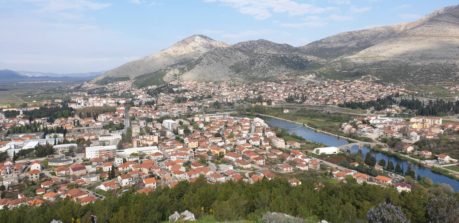 Одложен научни скуп Поетика и поезија Мирослава Максимовића